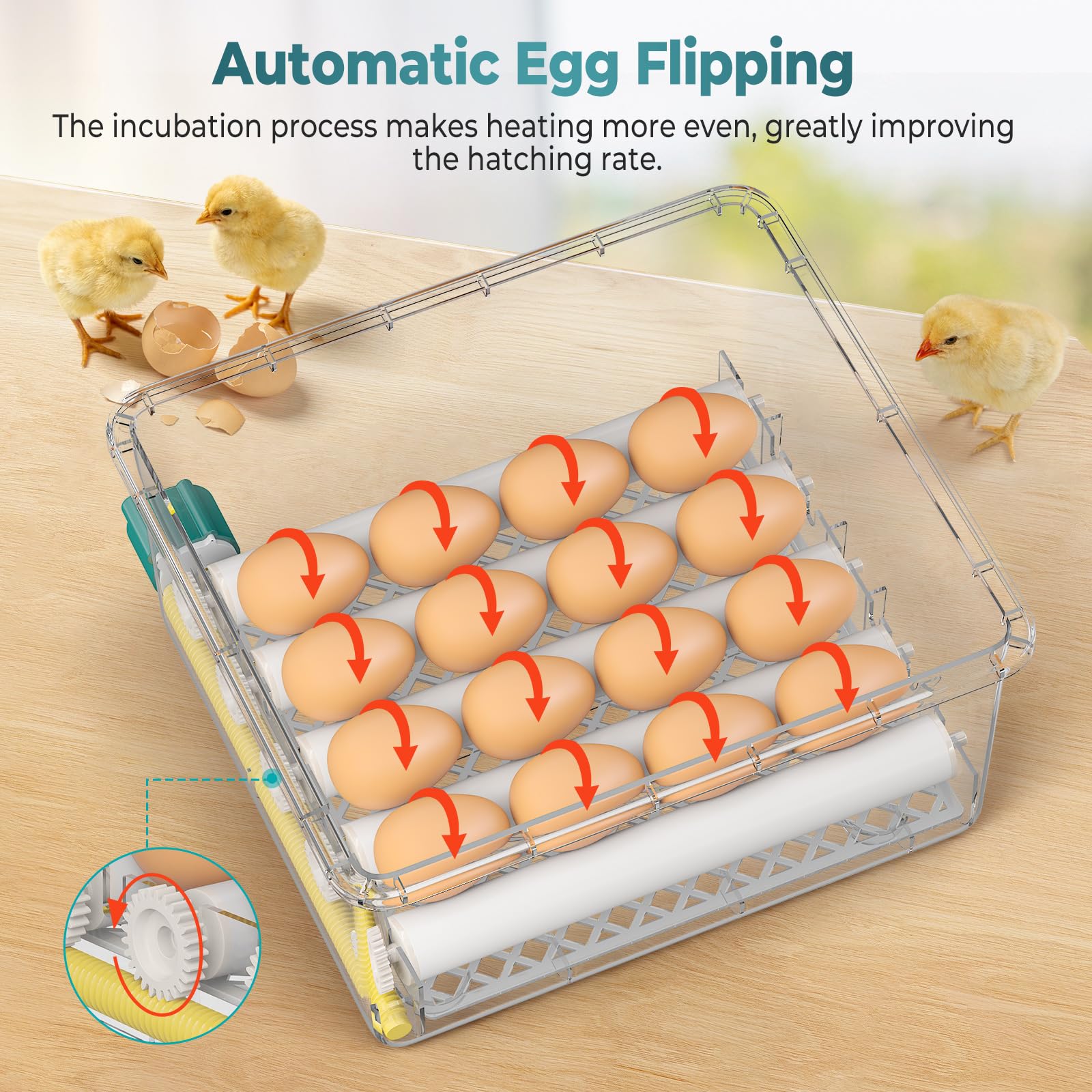 Incubadora Huevos Gallina, Incubadora de 16-64 Huevos con Volteo Automático de Huevos y Humidificación Automática, Fuente de Alimentación Dual, Pantalla LED, Lámpara de Huevo (16 Huevos)