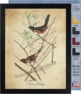 Towee Bunting by James Audubon 12 x 16 Print in Black Beveled Frame | Framed Wall Art Decor | Fine Artwork Painting Reproduction | Gallery Prints in Wood Frame | Home & Office Hunting Gift