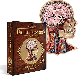 Genius Games Human Head Anatomy Puzzle - Adult Jigsaw Puzzles Unique Gifts for Kids Educational Science - 441 Piece Teen Floor Puzzle - Genius Games Dr. Livingston
