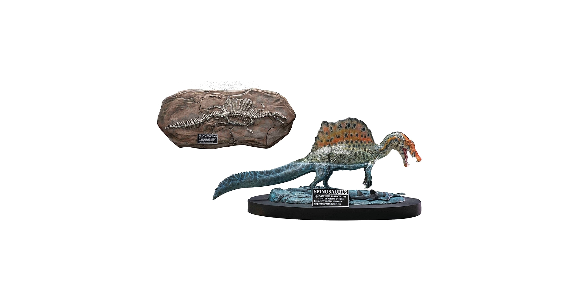 Amazon | スターエーストイズ ワンダーズ オブ ザ ワイルド