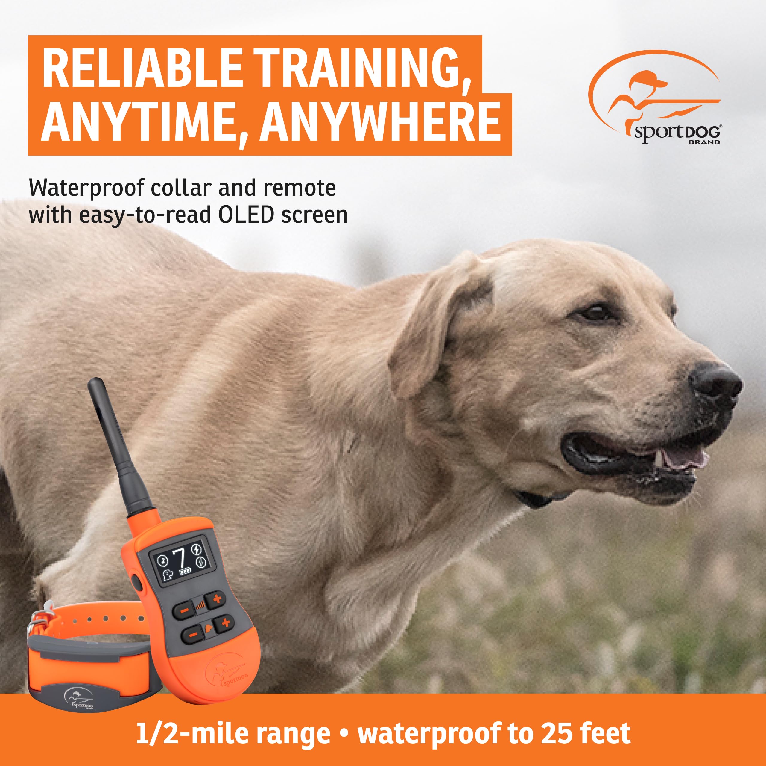 SportDOG - Collier de Dressage pour Chien avec Télécommande SportTrainer, Submersible, 10 Niveaux de Stimulation Statique, Vibration et Signal Sonore - Rechargeable - Portée 800 m