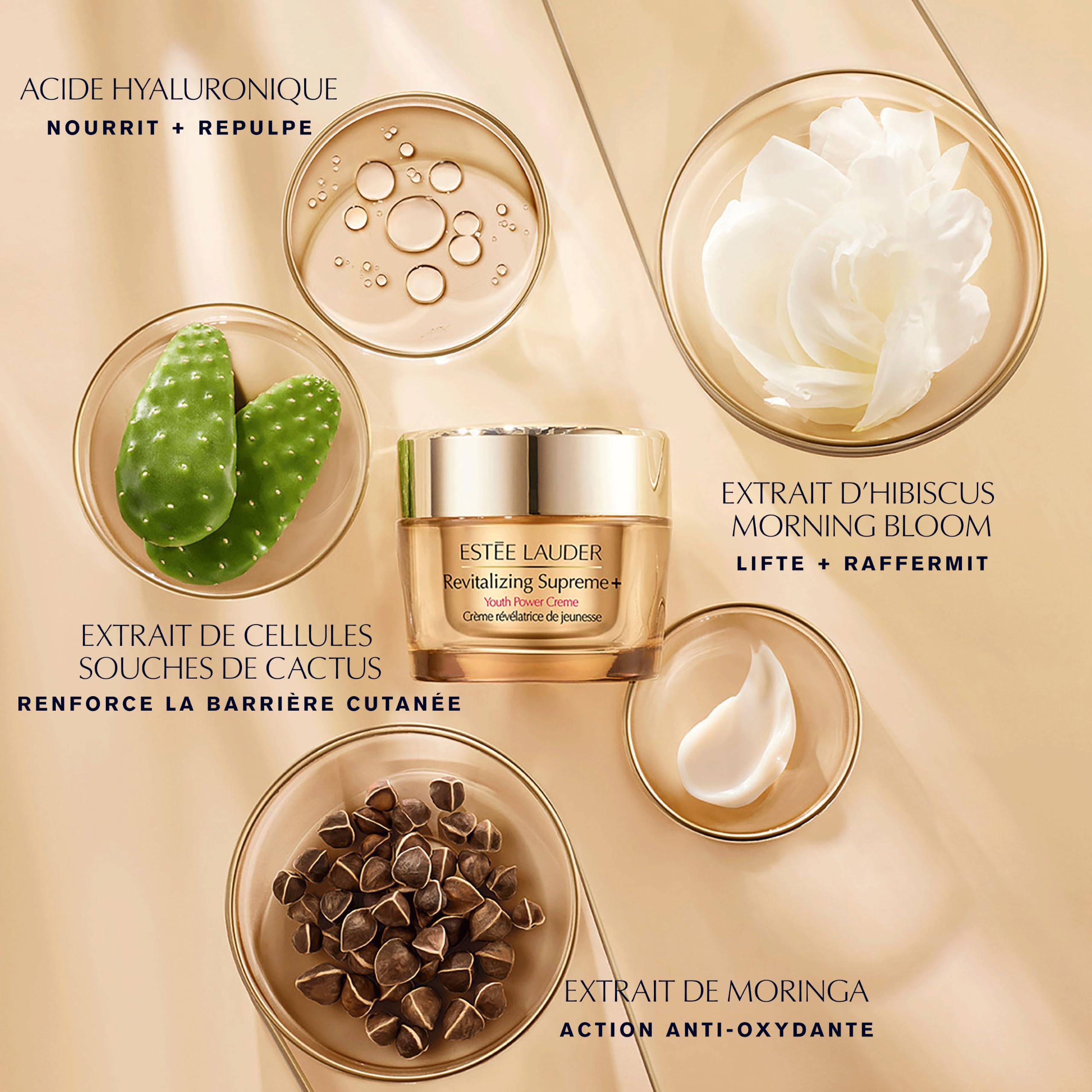 Estée Lauder Revitalizing Supreme+ Crème Révélatrice de Jeunesse Anti-Âge | Crème Hydratante Visage Multi-Action | Raffermit, Lifte et Donne de l'Éclat, 50ml