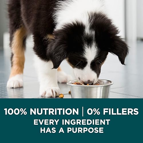 Miniatura 8 de Purina ONE - Alimento natural SmartBlend para cachorros