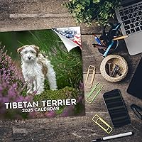 Vista 1451 de Razas de Perros 2017