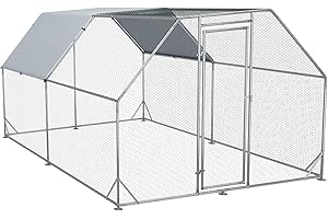 Large Outdoor Aviary for Birds: Spacious and Secure