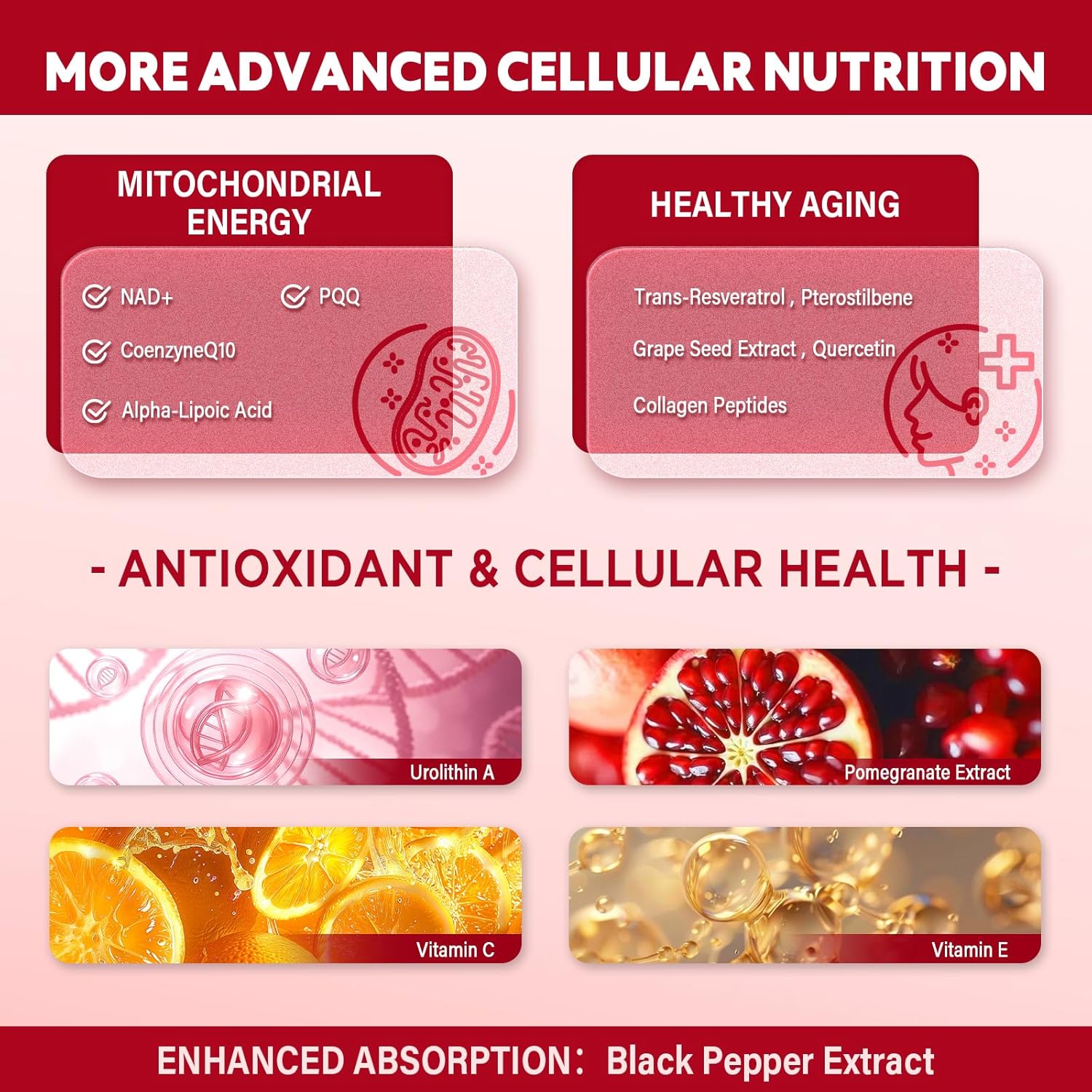 Liposomal Urolithin A Liquid Drops, Urolithin A Supplement with Pomegranate Extract, for Healthy Aging, Antioxidant & Mitochondrial Support, Non-GMO, 2 Fl Oz - Image 3