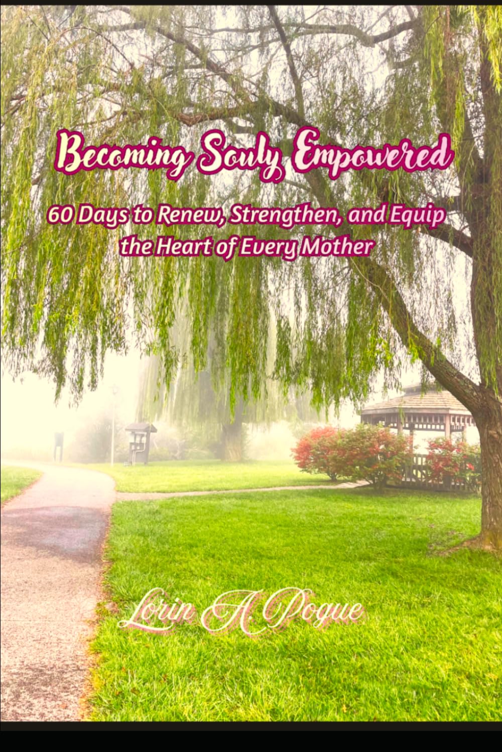 Becoming Souly Empowered: 60 Days to Renew, Strengthen, and Equip the Heart of Every Mother