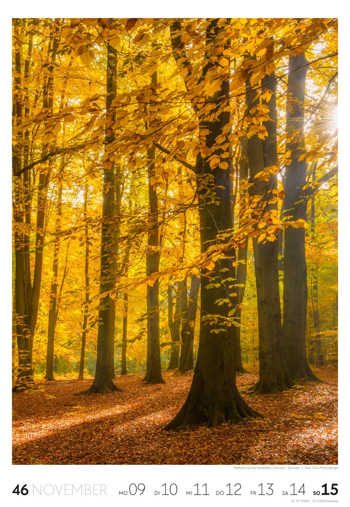 Natur Wochenkalender 2026 | Natur-Kalender mit 53 großformatigen Bildern im Hochformat (29x42 cm) | Heimische Flora und Fauna
