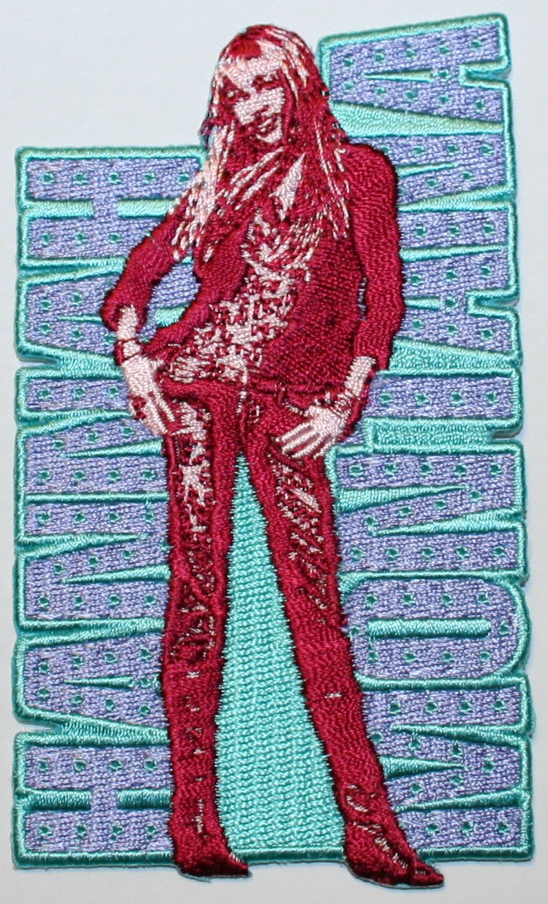 Disney Hannah Montana TV Movie - Silhoutte Standing Pose