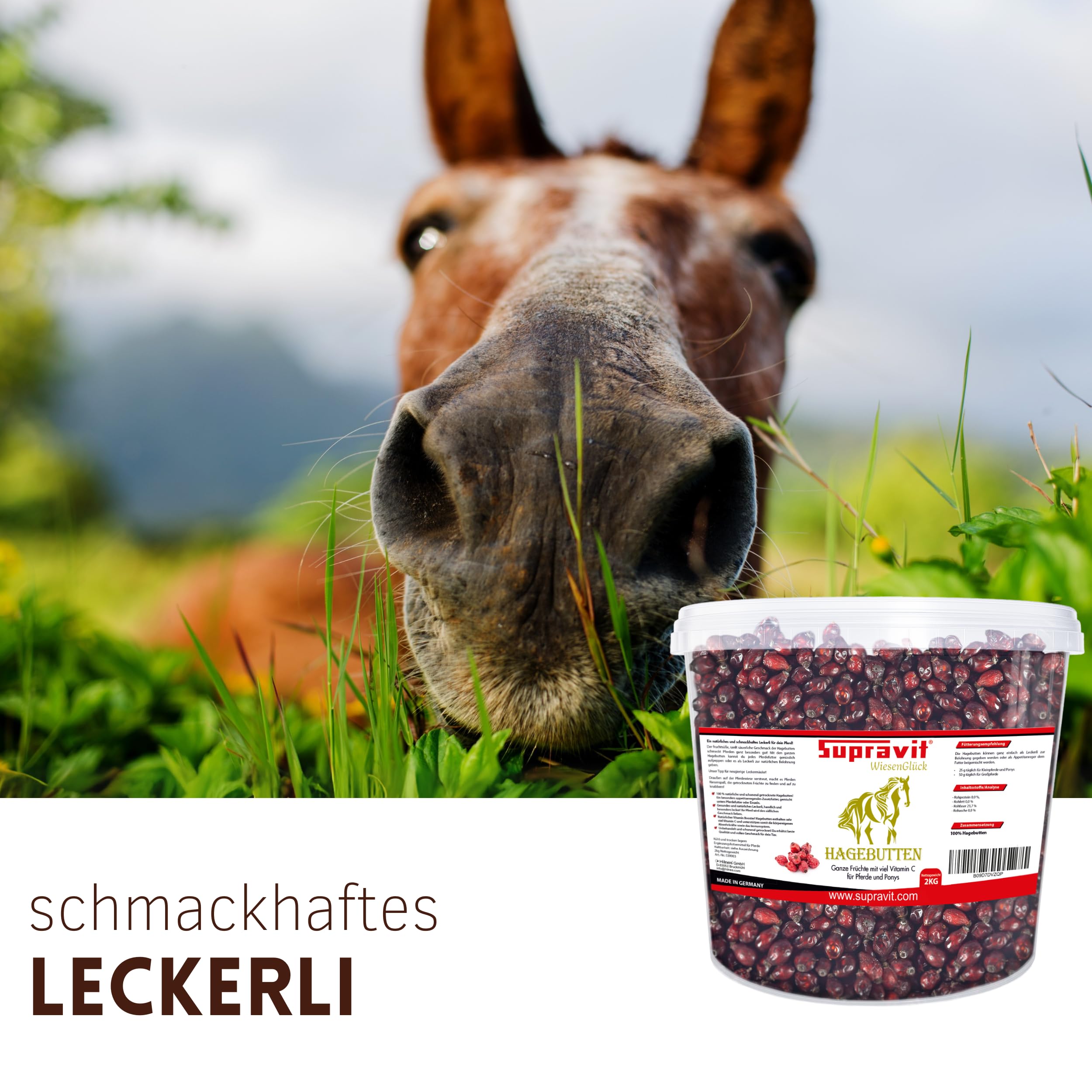 Supravit Hagebutten Pferd | Mit viel Vitamin C für Pferde und Ponys | 2kg Eimer I Ganze getrocknete Früchte - natürliche Pferdeleckerlis ohne Zucker | Erstklassige Qualität