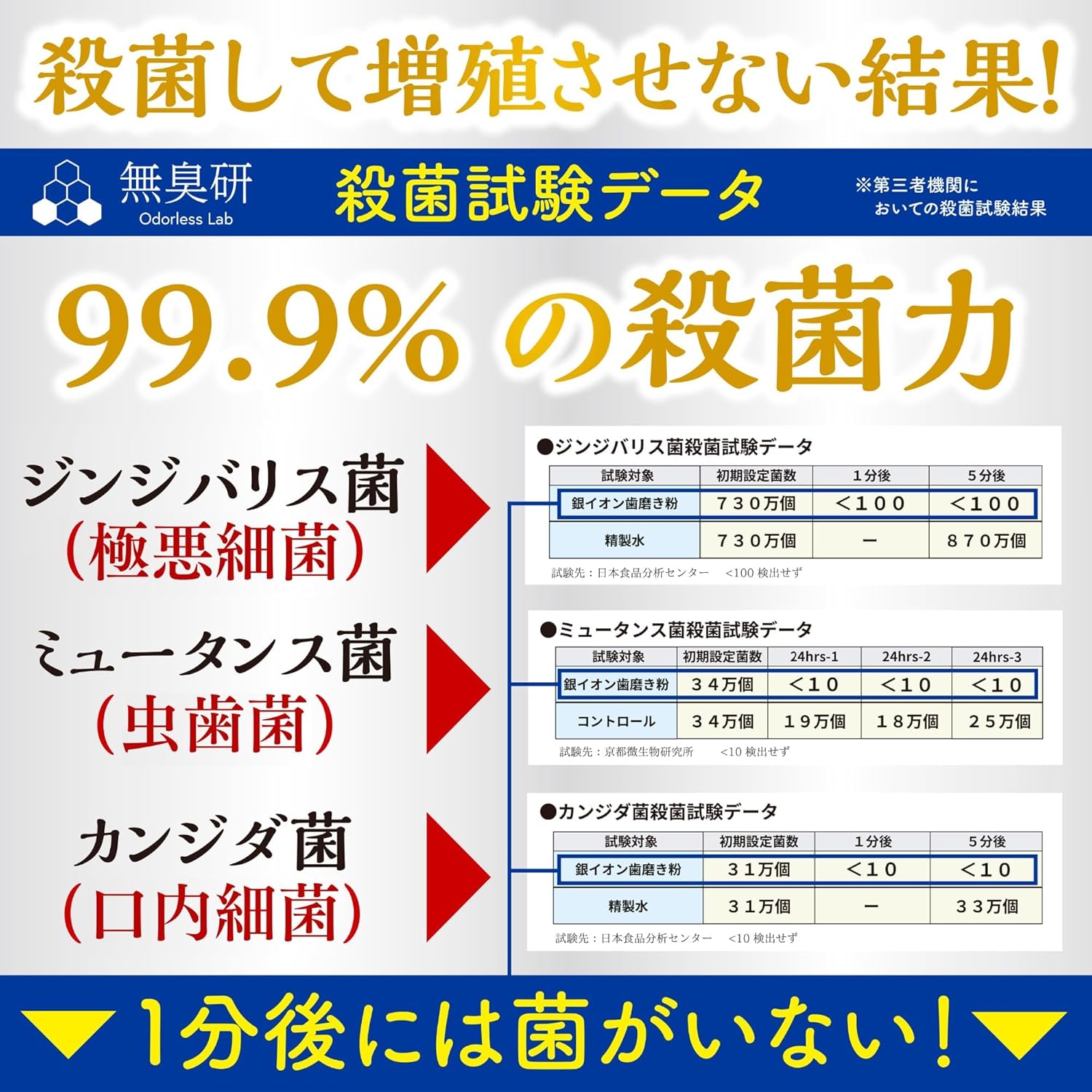 無臭研 銀イオン歯磨き粉 高濃度銀イオン配合 イオン歯磨き 300ppm Ag+ 口臭 虫歯 口内細菌 ハミガキ 歯磨き粉 フッ素未配合 国内生産品 ペースト 銀イオン歯磨き 50g