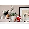 Product Photo 2