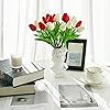 Product Photo 6