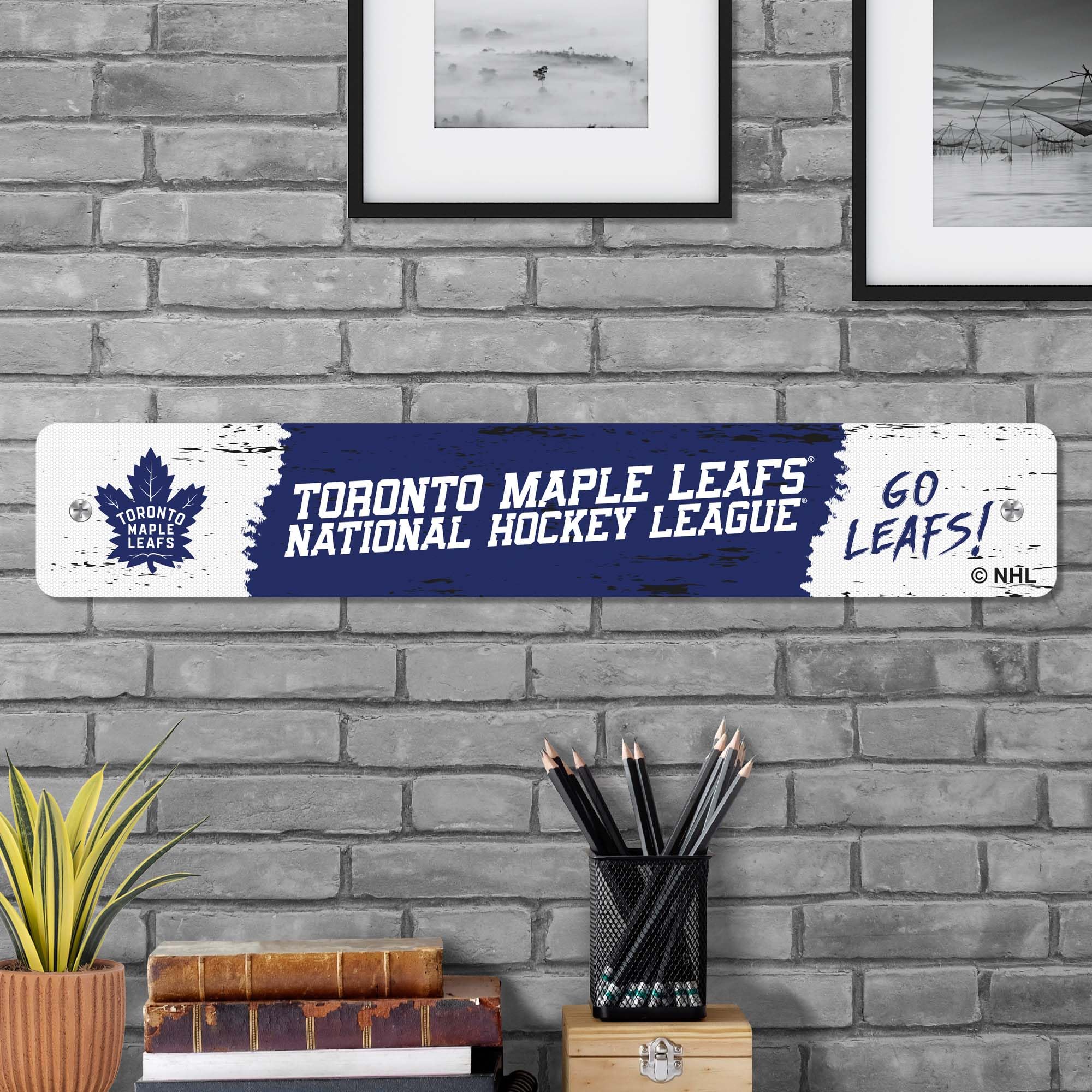 Amazon.com: FANMATS: Toronto Maple Leafs
