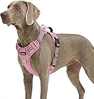 Vista 22 de Funfox Arnés para perro sin tirones, arnés de chaleco ajustable para mascotas, material súper suave con mango vertical, fácil control, paseo