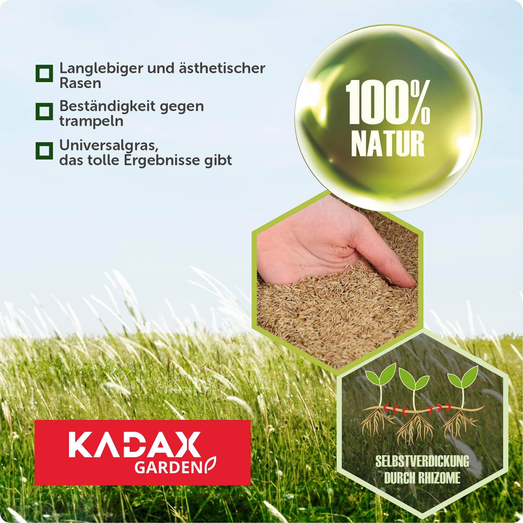 KADAX Trawa ozdobna, 600 m², nasiona trawy ozdobnej, mieszanka nasion trawy, nasiona trawy, nasiona efektywne, mieszanka nasion trawy, trawa, mieszanka nasion (15 kg)