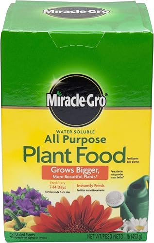 Miracle Gro 160101 - Alimento vegetal soluble en agua, 1 libra, multiusos, 24-8-16
