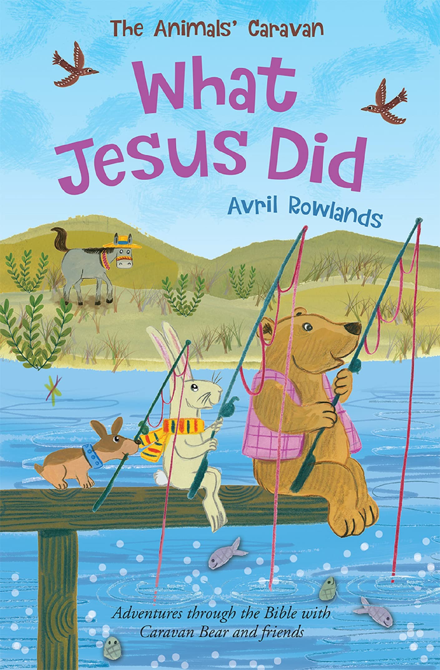What Jesus Did by Avril Rowlands, Kay Widdowson - 9780745978154