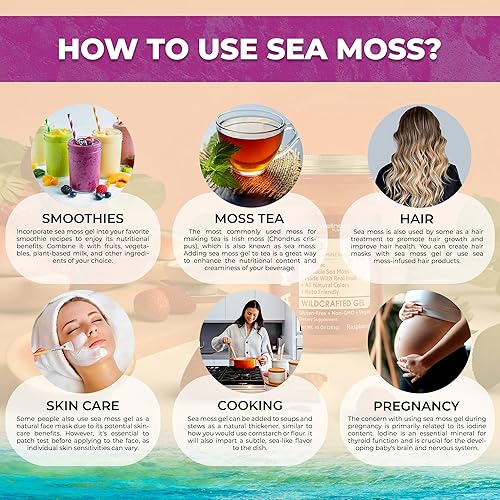 Miniatura 5 de Irish Sea Moss Gel orgánico crudo  Gel de masa marina de superalimento silvestre  Sabor a baya de saúco, rico en vitaminas y minerales de aguas