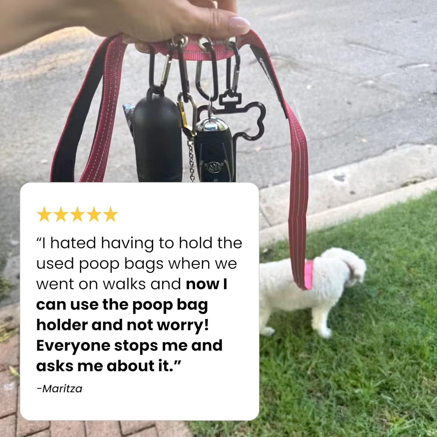 Durable Nylon Dog Leash with Reflective Stitching, Padded Handle, Traffic Handle, and Waste Bag Holder – 6ft Long for Safe and Convenient Walks - Pink