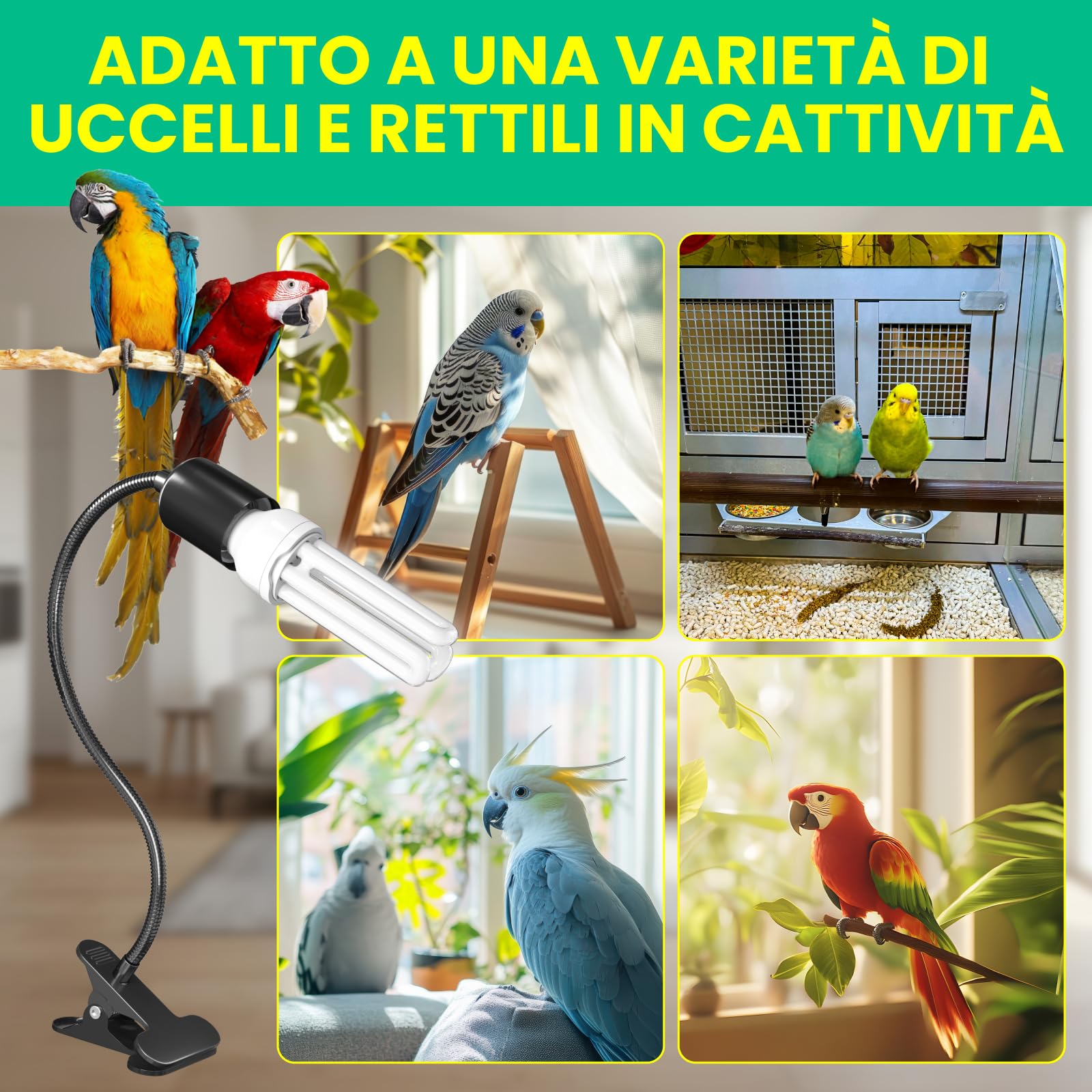 GlowUp Lampada per Uccelli Set Completo con Timer, Lampada a Morsetto con Lampadina UVB 2.4 E27 20W per Uccelli