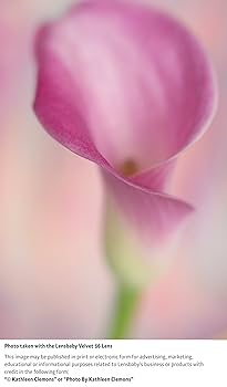 Lensbaby ソフトレンズ Velvet 56 56mm F1.6 ペンタックスKマウント ブラック フルサイズ対応 860700 Amazon.co.jp: Lensbaby ソフトレンズ Velvet 56 56mm F1.6