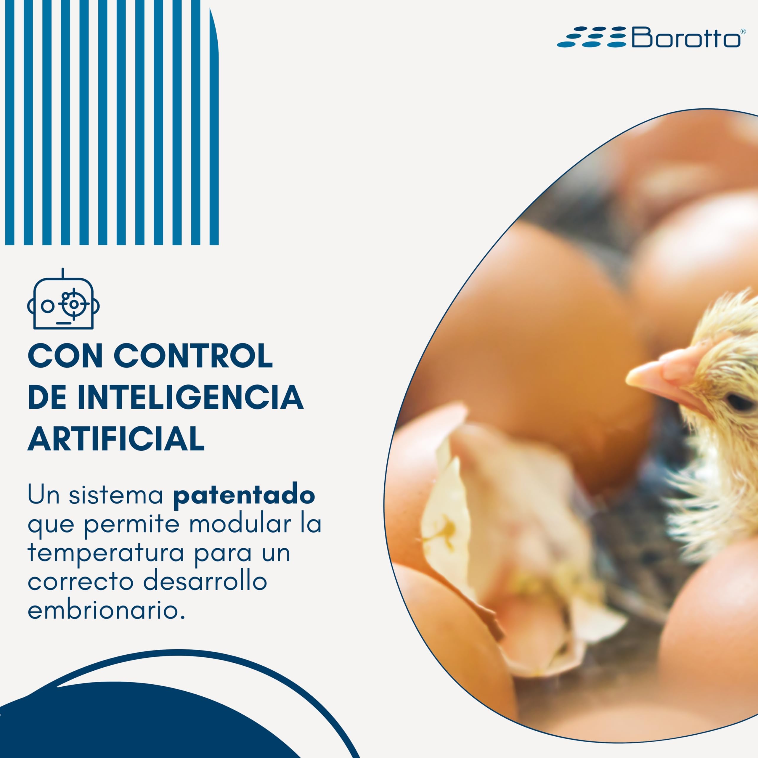 Borotto Lumia 8 | Incubadora de Huevos Automática Profesional Patentada para 8 Huevos o 32 Pequeños con Volteador de Huevos Automático y Control de Temperatura | Made in Italy