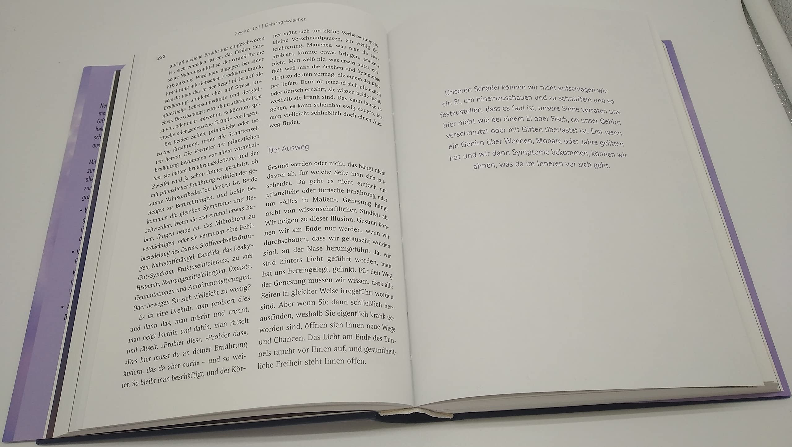 Heile dein Gehirn - Das Basisbuch: Die Wahrheit über Angstzustände, Depression, Long Covid, chronische Erschöpfung, Alzheimer und Demenz - Schutz und Heilung für unser wichtigstes Organ