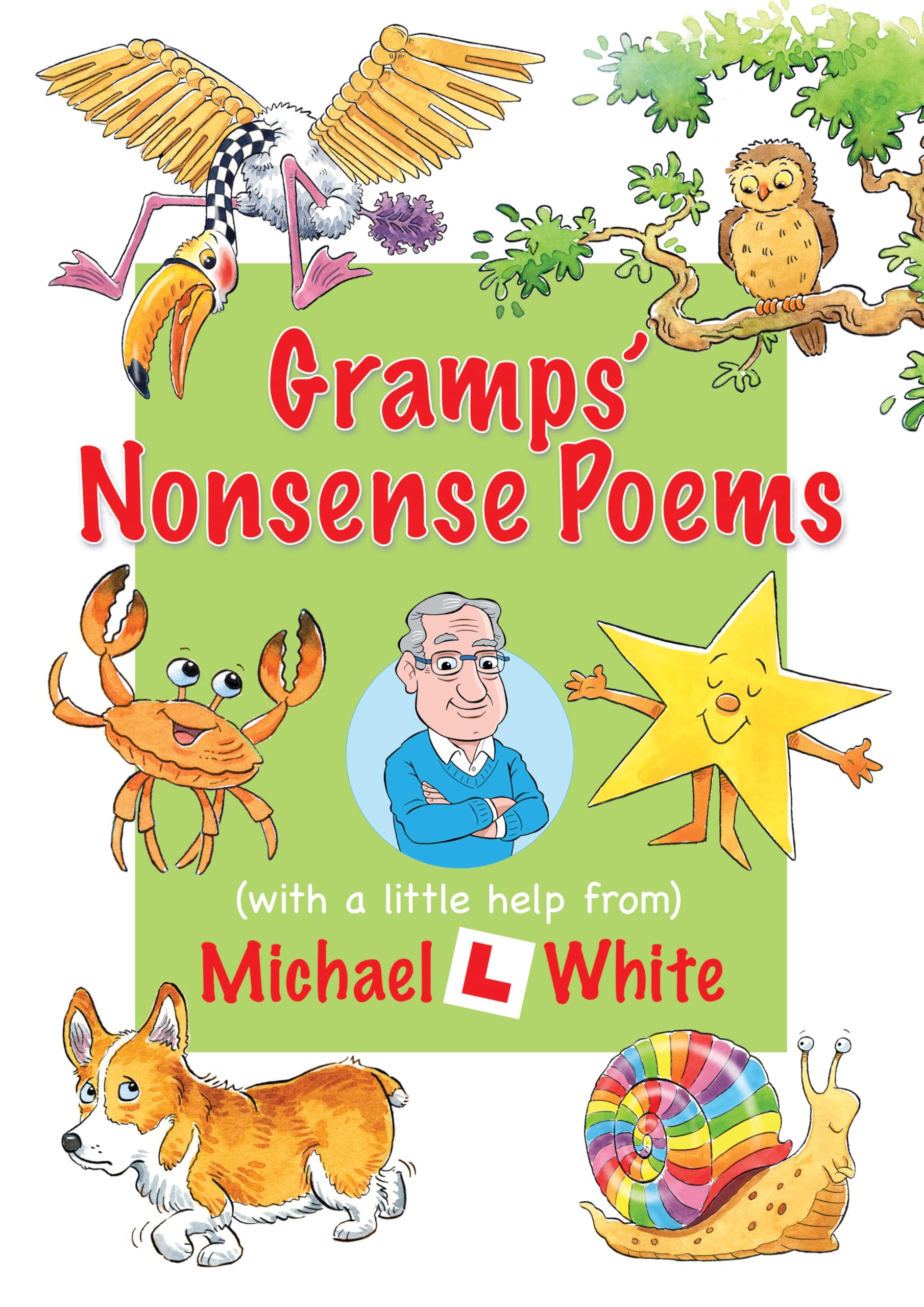 Gramps Album of Nonsense Poems by Michael White HARDBACK 9781836280859