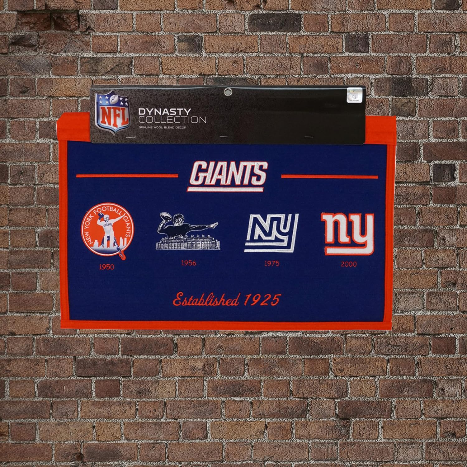 Fan Creations Cincinnati Bengals Family Sign, Multi