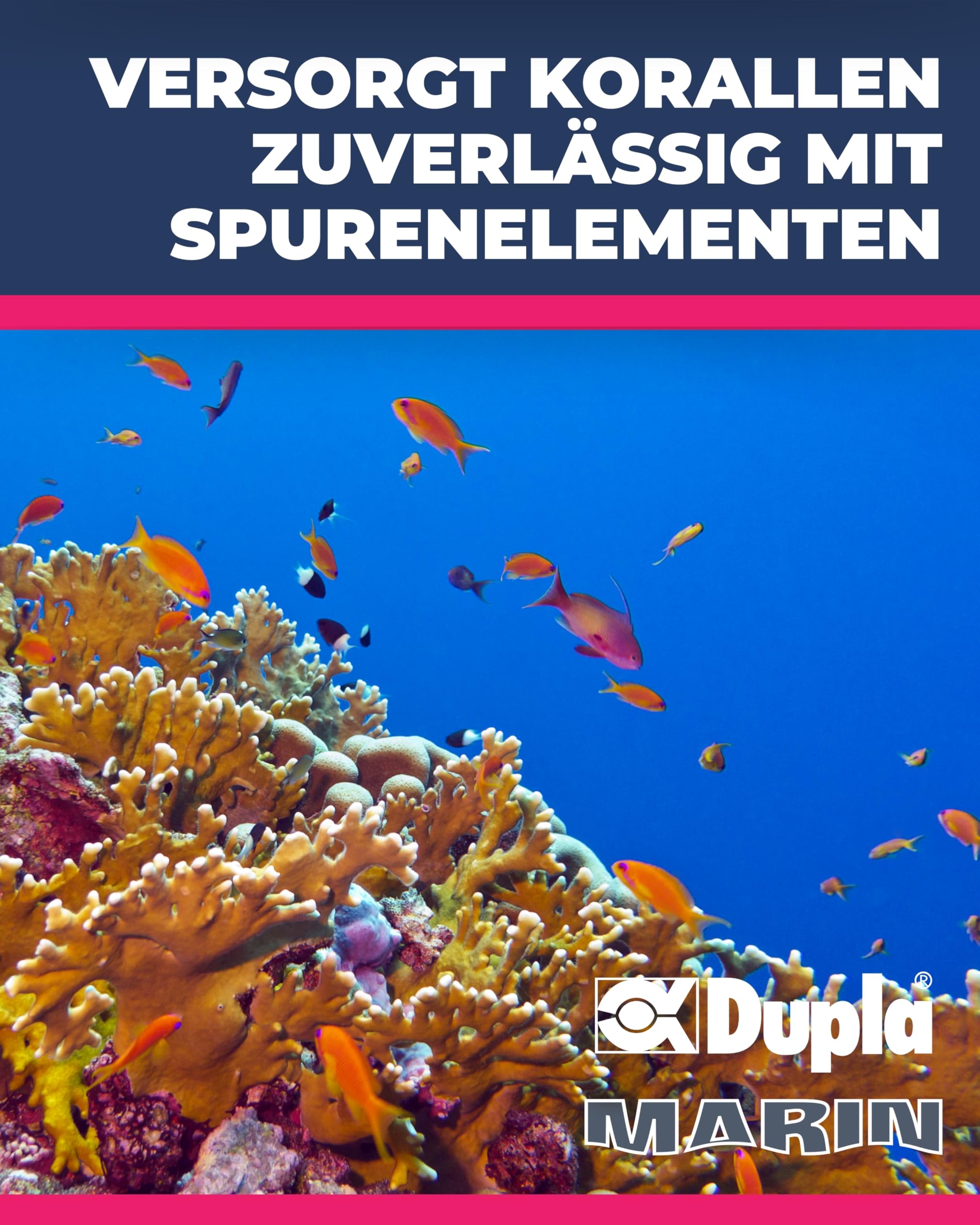 Dupla Marin Dosing Pump P4 Smart I 4-Kanal Dosierpumpe für Wasseraufbereitungsmittel I intelligente Meerwasseraquarium Pumpe mit integrierter Steuerung und Füllstandsanzeige I Zubehör für Aquarien