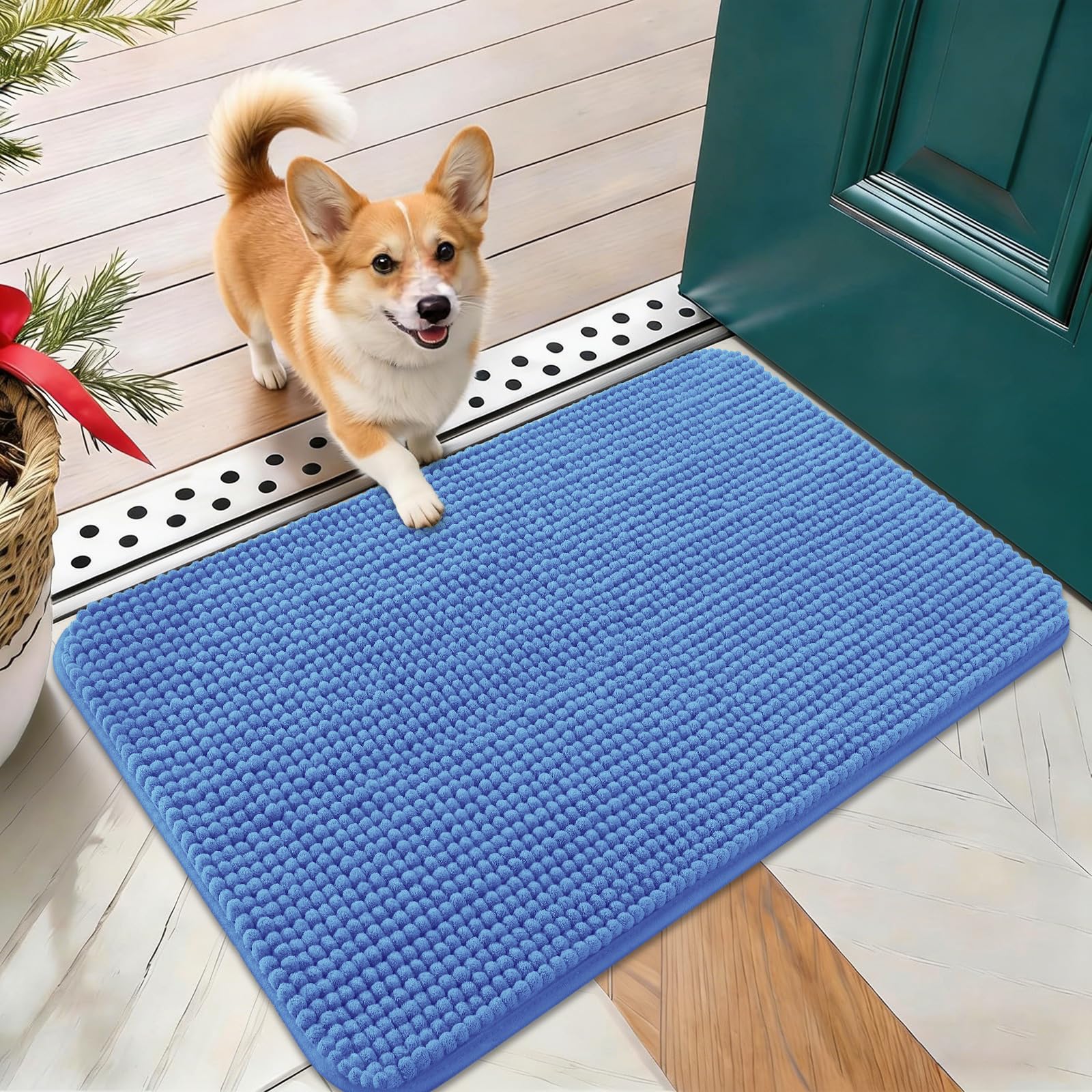 OLANLY Dog Door Mat for Muddy Paws 24x16, Absorbent Chenille Mud Doormat