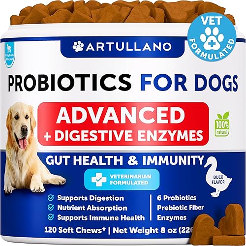 Probióticos para perros Apoya la salud intestinal, picazón en la piel, alergias, inmunidad, equilibrio de levadura Probióticos para perros y