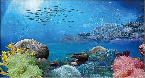 Amazon Co Jp Jkghk 魚タンクの背景 水槽の背景ザ アンダーウォーターワールド水族館の背景ステッカー壁紙装飾 Matte 50 Cm X 150 Cm ペット用品 Amazon Co Jp Jkghk 魚タンクの背景 水槽の背景ザ アンダーウォーターワールド水族館の背景ステッカー壁紙装飾 Matte 50 Cm X 150 Cm ペット用品