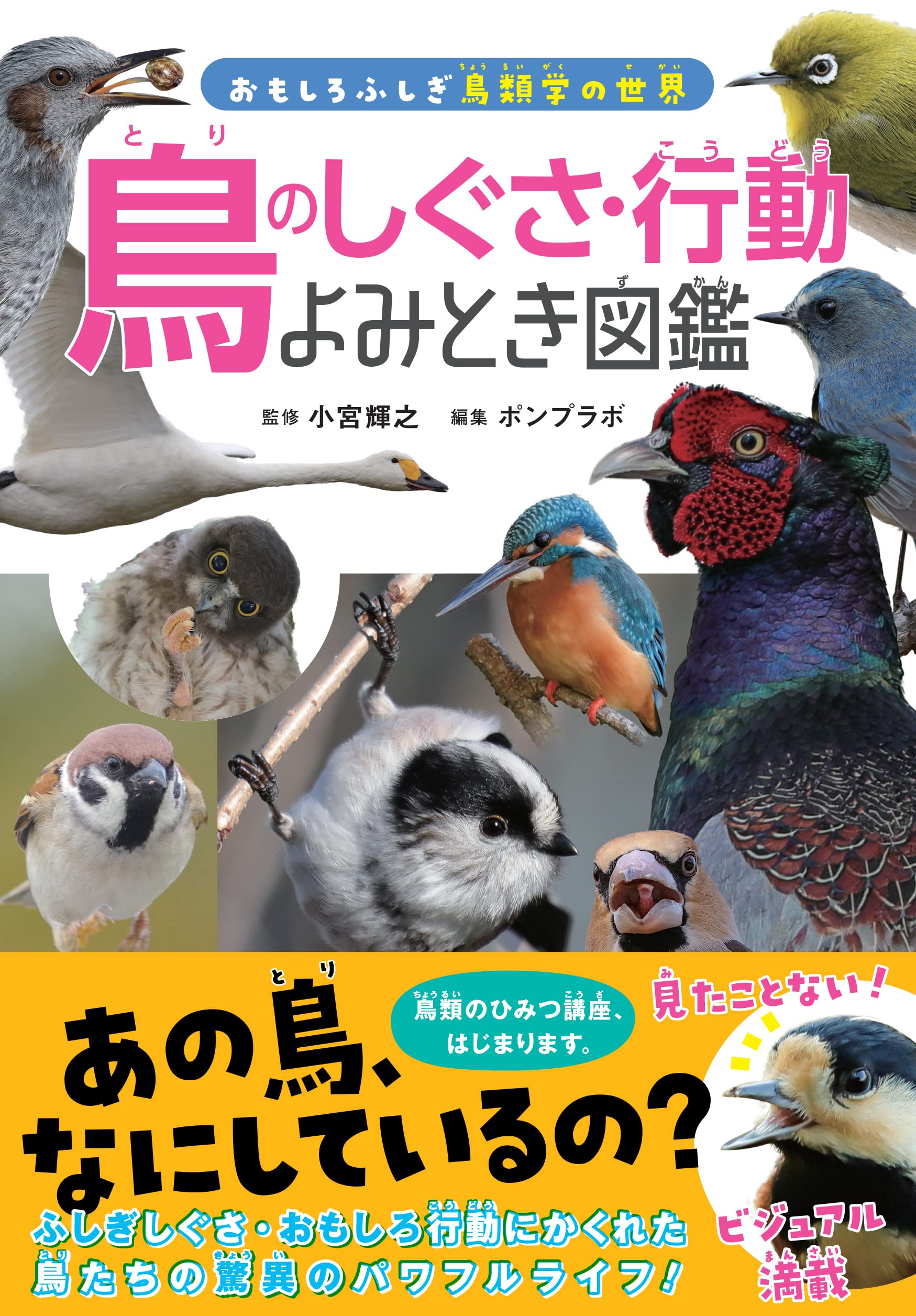 【中古】 「不思議ーなぜ？」動物おもしろ百科/三笠書房/実吉達郎 71Wd2HQgyiL._UF350,350_QL50_.jpg