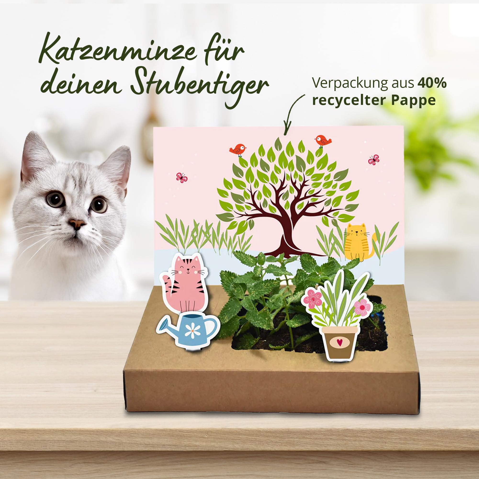 Tool & Tree mini-Garten Katzenminze – Pop-Up DIY Garten Set für Katzenliebhaber & Familien – inkl. Katzenminze-Saatgut, Anzuchtschale & Bastel-Deko – nachhaltiges Geschenkidee für kreative Köpfe