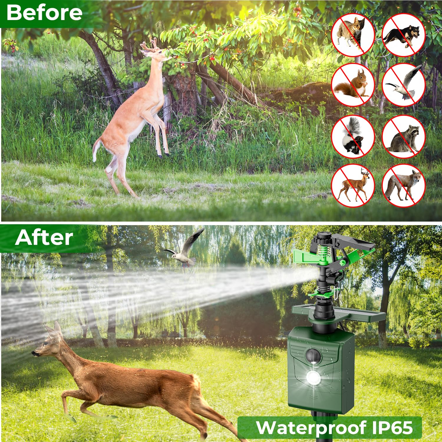 Ahuyentador de animales por chorro de agua, ahuyentador de aves, para jardín y estanque, carga USB/carga solar en dos modos, detector de movimiento PIR, ahuyentador de pájaros