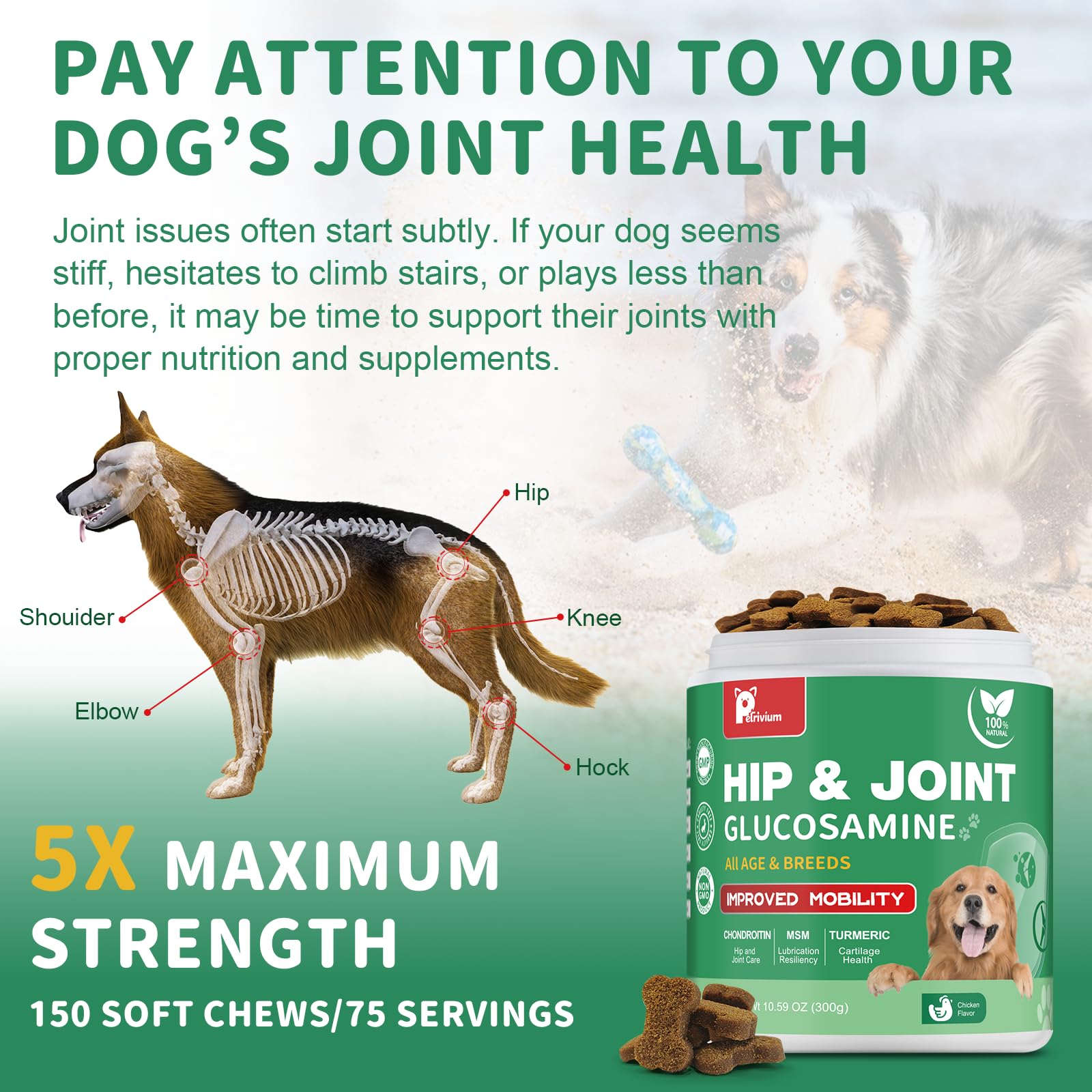 Hip and Joint Supplement for Dogs, Glucosamine Treats Chews with Chondroitin, MSM, Turmeric - Support Joint Pain Relief, Mobility, Reduce Occasional Discomfort, Fit All Ages and Breeds, 150 Soft Chew - image 3