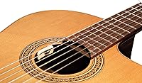 Vista 2 de L.R. Baggs ANTHEM-SL-C Classical Guitar Pickup