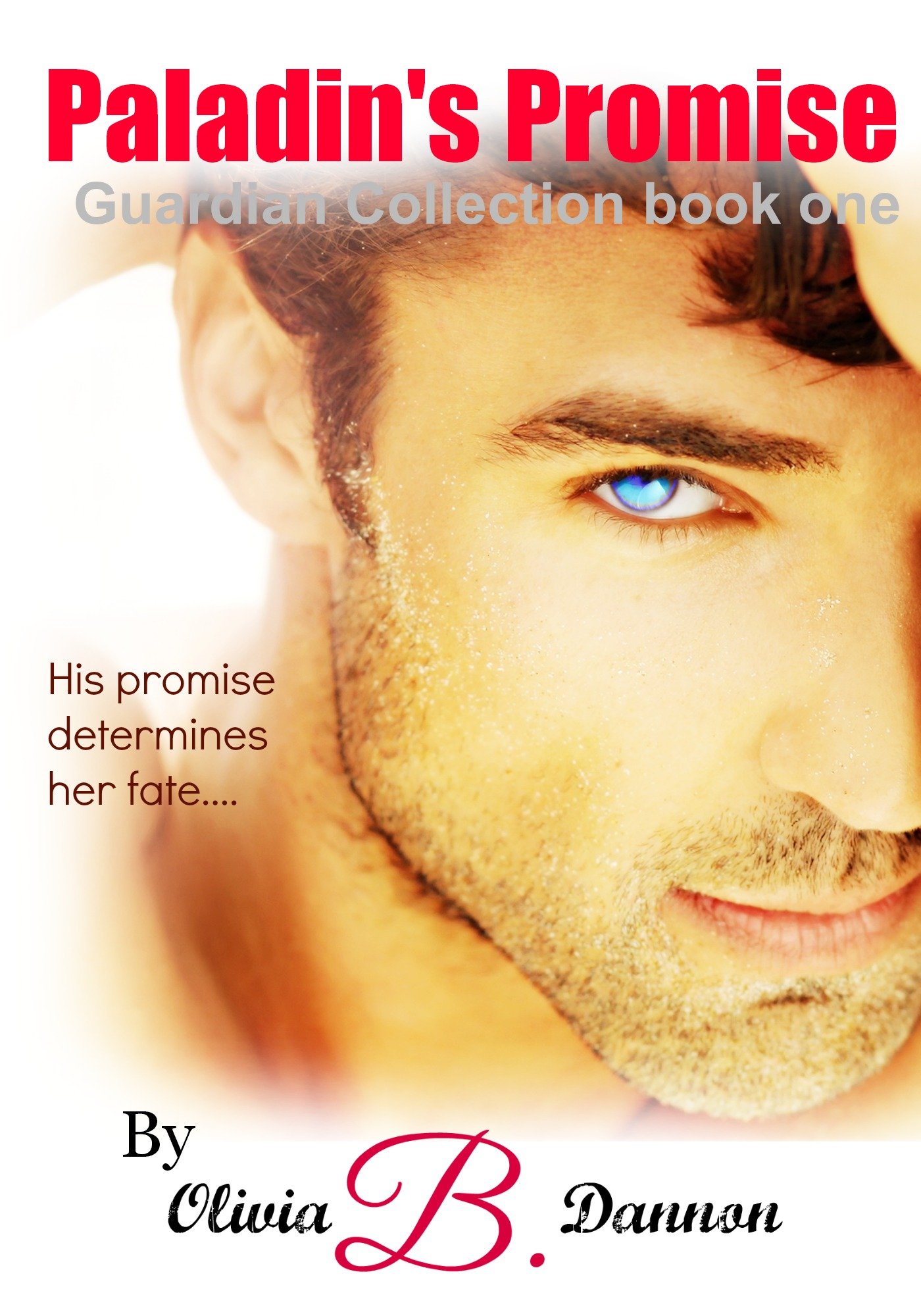Paladin's Promise (The Guardian Collection Book 1)