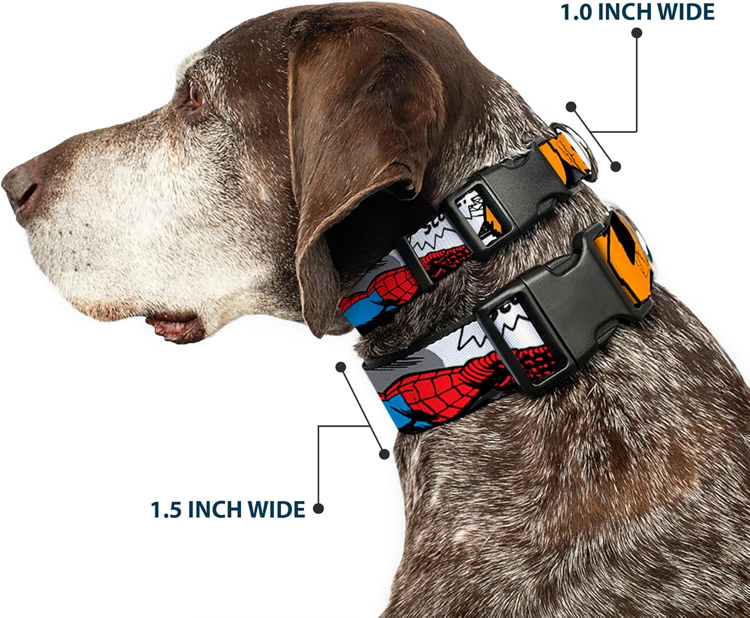 Dog Collar Plastic Clip Spider Man Action Verbiage 16 to 23 Inches 1.5 Inch Wide