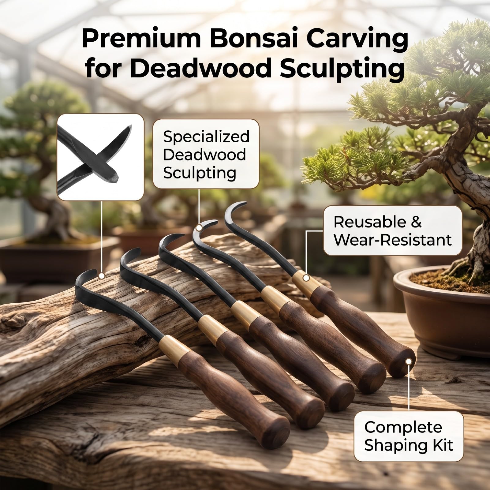 Haofy 5 szt. 7,28 Cala Narzędzi Bonsai ze Specjalnej Stali z Litego Drewna Wielokrotnego Użytku