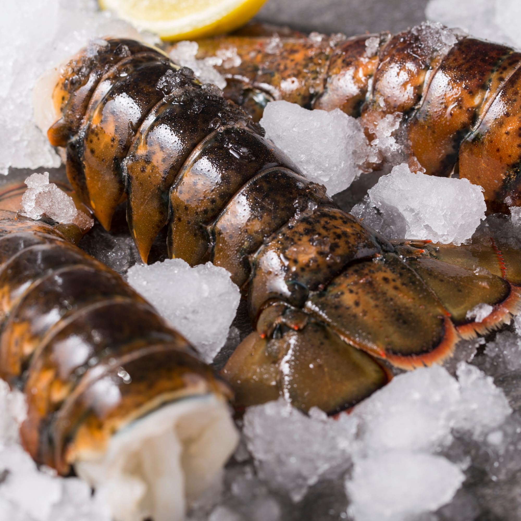 Fresh Lobster Tails | 12 x 8oz Frozen Gourmet Lobster Tails | Lobster Meat | Fresh Fish and Seafood | Wild-Caught, Fresh Lobster Tail | Sustainably Sourced | City Fish at Pike Place Market