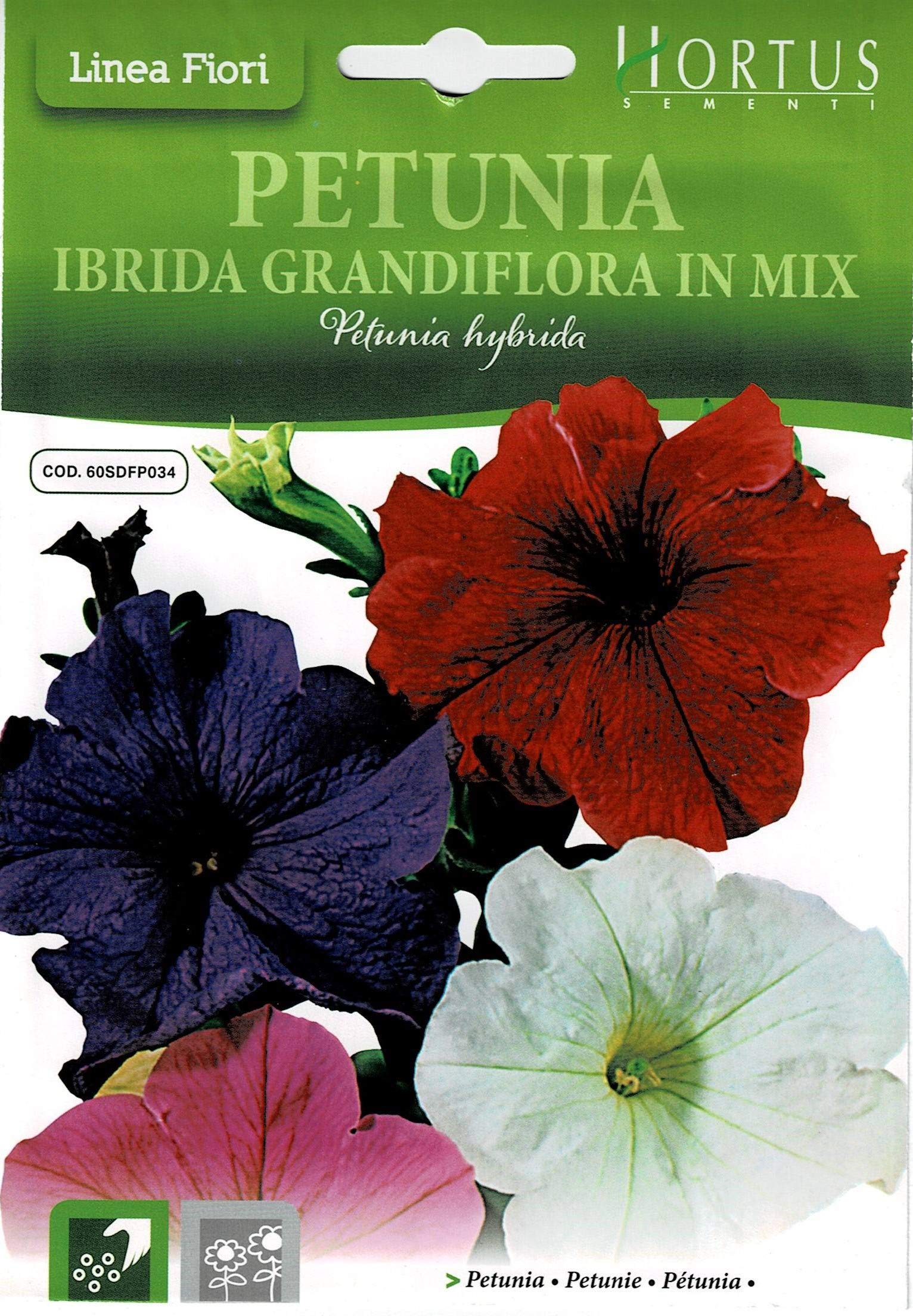 Sementi Petunia Ibrida Grandiflora in Mix Seeds