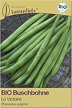 Samenliebe Organic Bush Bean Seeds | La Victoire Bean - Threadless & Green - Seed-proof Organic Seeds