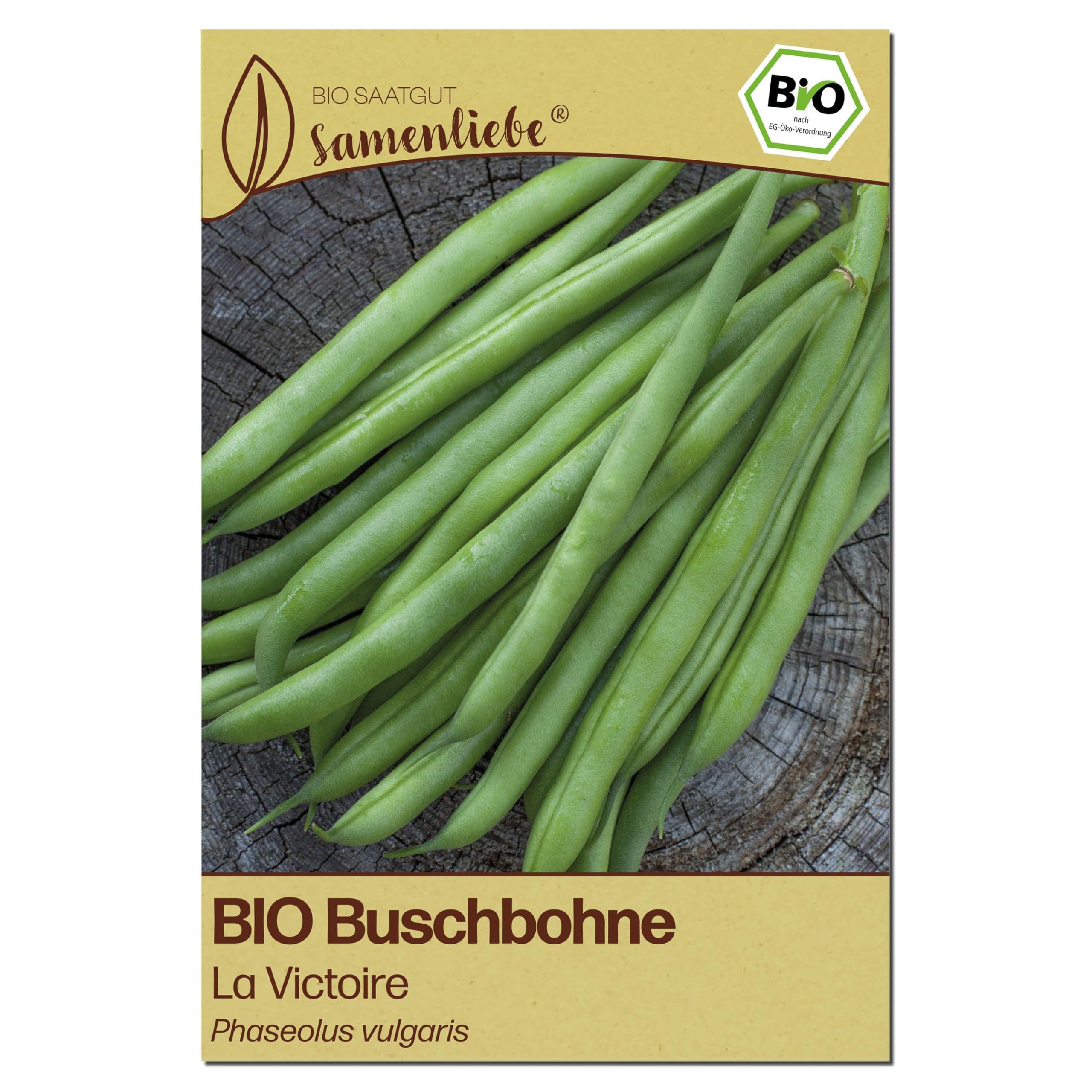 Samenliebe BIO Buschbohnen Samen | Bohne La Victoire - fadenlos & grün - samenfestes BIO Saatgut