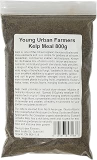 Young Urban Farmers Kelp Meal 800g