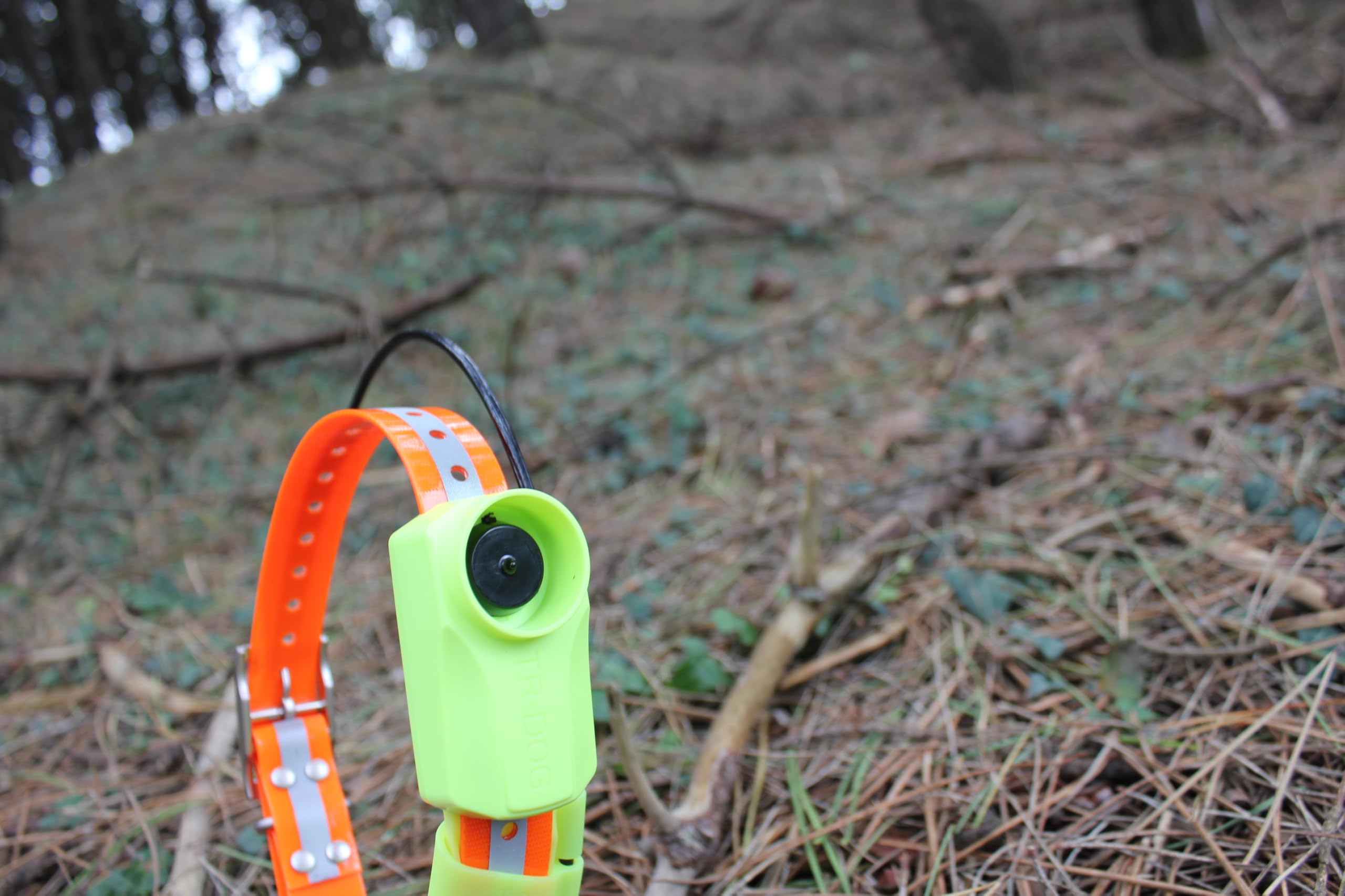 Collare GPS Beeper IOCUS-TR Dog R70B | Tracciamento GPS e Beeper professionale