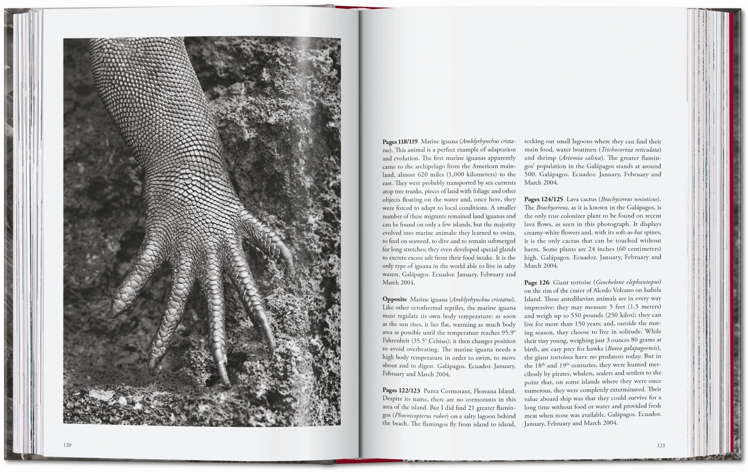 Sebastião Salgado: Genesis. 45th Ed.