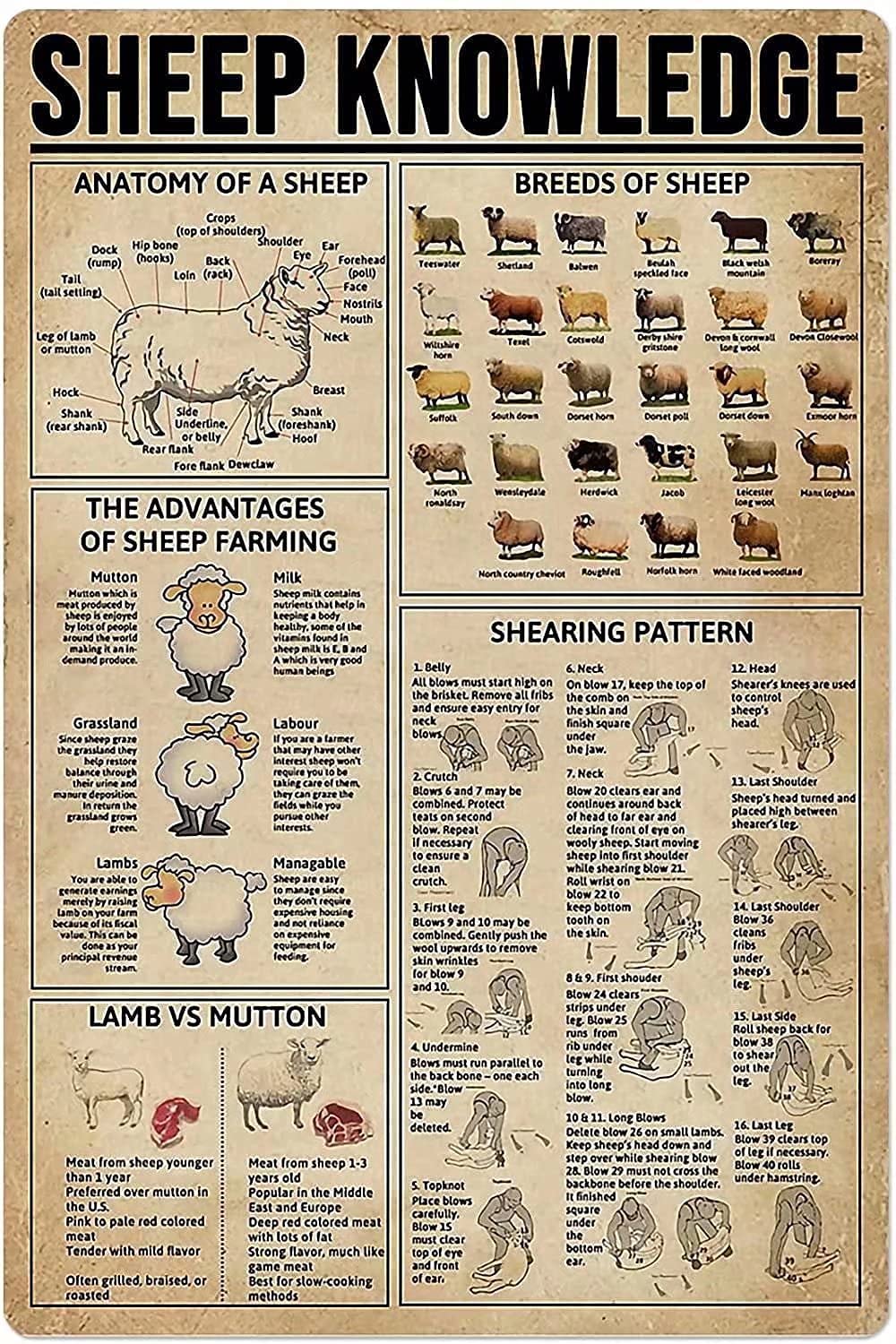 sheep Knowledge tin sign Metal Signs, Fun Poster For Bar Kitchen Cafe Farmhouse Wall Decor 8x12inch